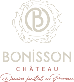 Château Bonisson logo